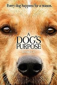 A Dog's Purpose (2017)