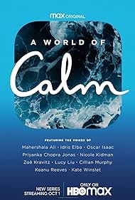 A World of Calm (2020)