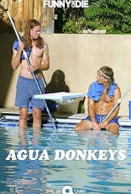 Agua Donkeys (2020)