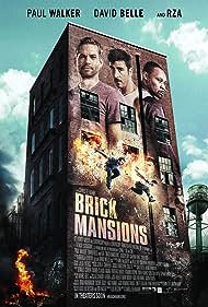 Brick Mansions (2014)