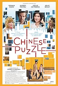 Chinese Puzzle (2014)