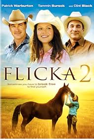 Flicka 2 (2010)