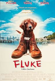 Fluke (1995)