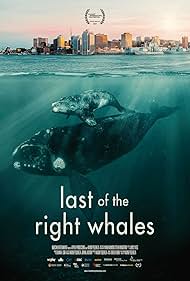 Last of the Right Whales (2021)