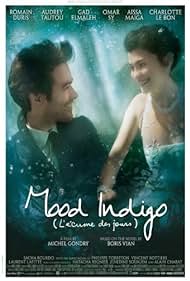 Mood Indigo (2014)