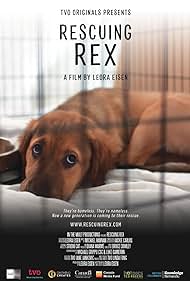 Rescuing Rex (2020)