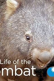 Secret Life of the Wombat (2016)