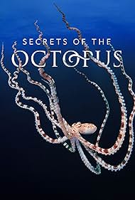 Secrets of the Octopus (2024)