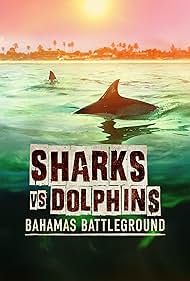 Sharks vs. Dolphins: Bahamas Battleground (2023)