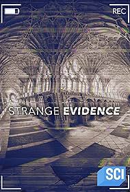 Strange Evidence (2017)