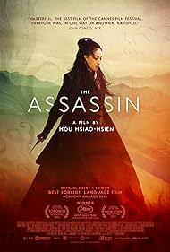 The Assassin (2015)