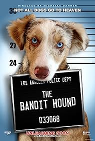 The Bandit Hound (2016)