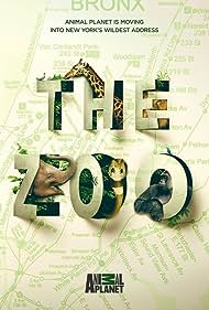 The Zoo (2017)