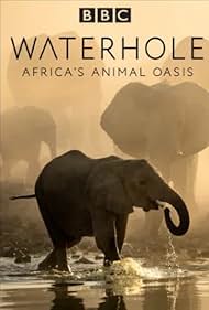 Waterhole: Africa's Animal Oasis (2020)